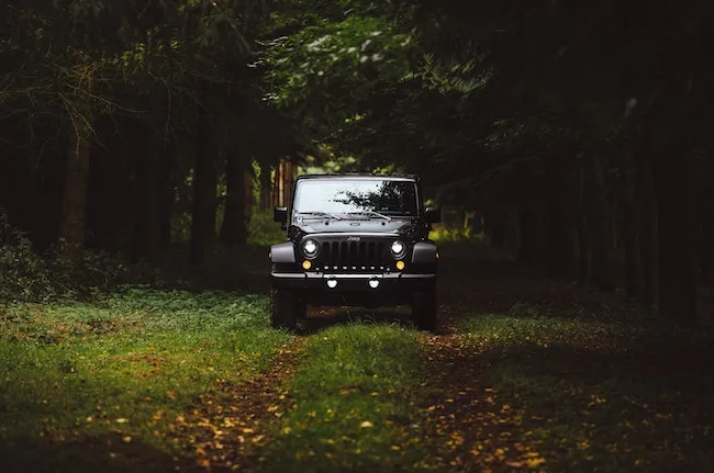 jeep looking straight on in a dark forest 