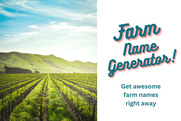 farm name generator thumbnail with vineyard and mountains